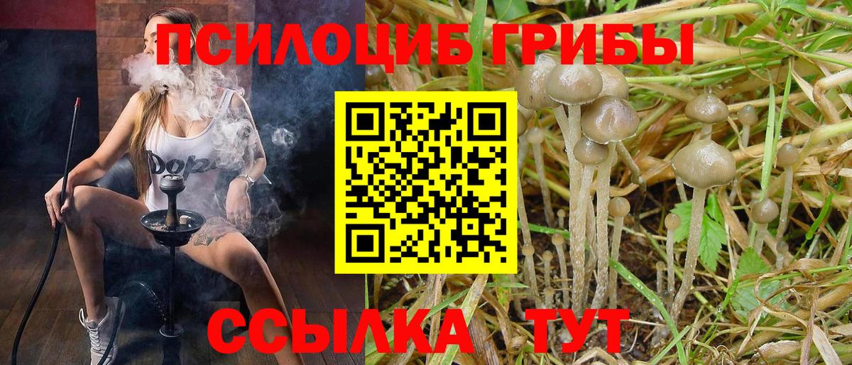 Псилоцибиновые грибы GOLDEN TEACHER Карпинск